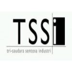 tssi tssi